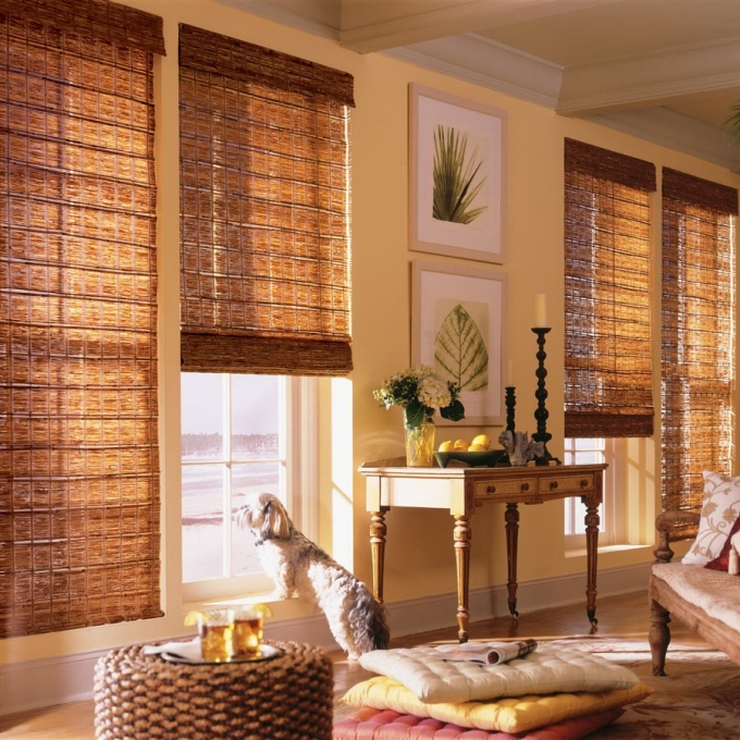 living room design with bamboo shades