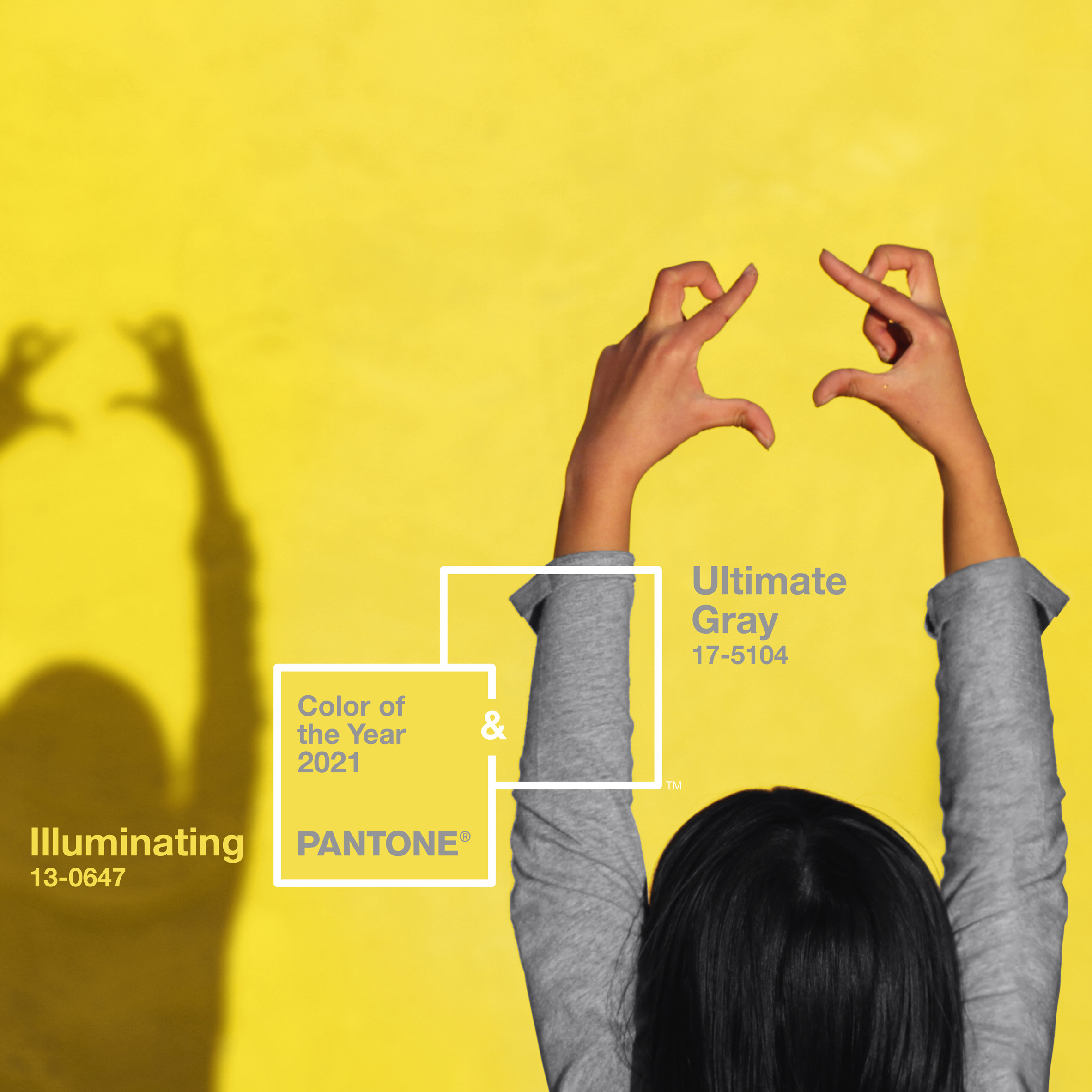 pantone ultimate grey and illuminating