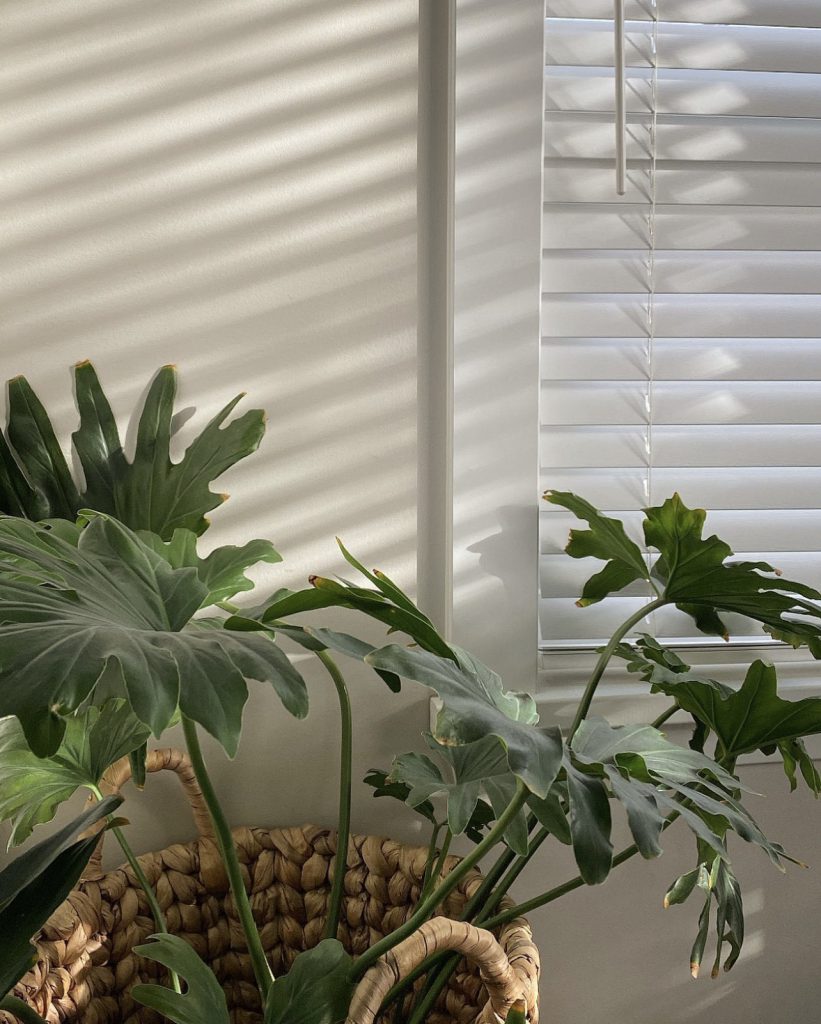 Faux wood blinds